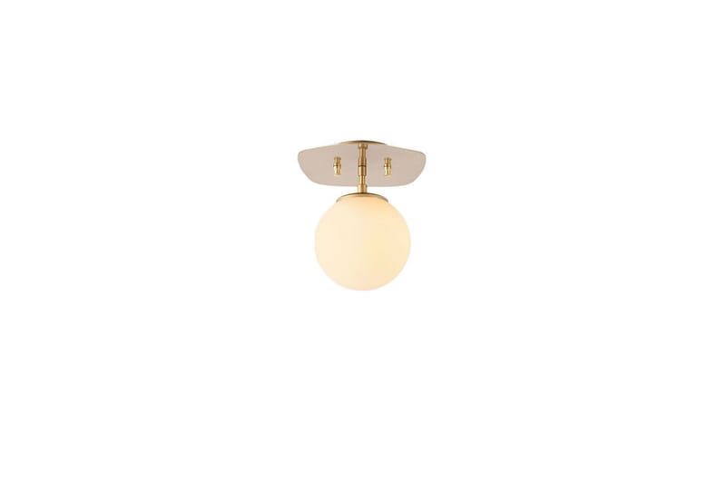Taklampa Ariofield (20 x 25 x 25 cm) Rany - Rany - Belysning & el - Inomhusbelysning & lampor - Taklampa & takbelysning - Plafond