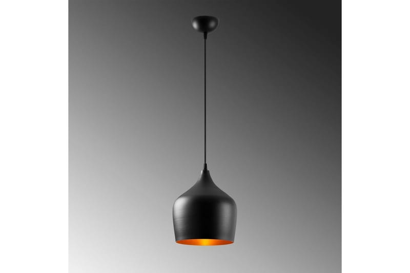 Taklampa Chichela Singel Svart - Svart - Belysning & el - Inomhusbelysning & lampor - Taklampa & takbelysning - Pendellampor & hänglampor