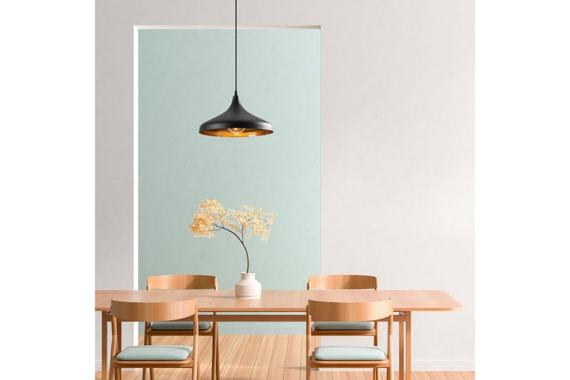 Taklampa Thela Sudarge Svart - Svart - Belysning & el - Inomhusbelysning & lampor - Taklampa & takbelysning - Pendellampor & hänglampor