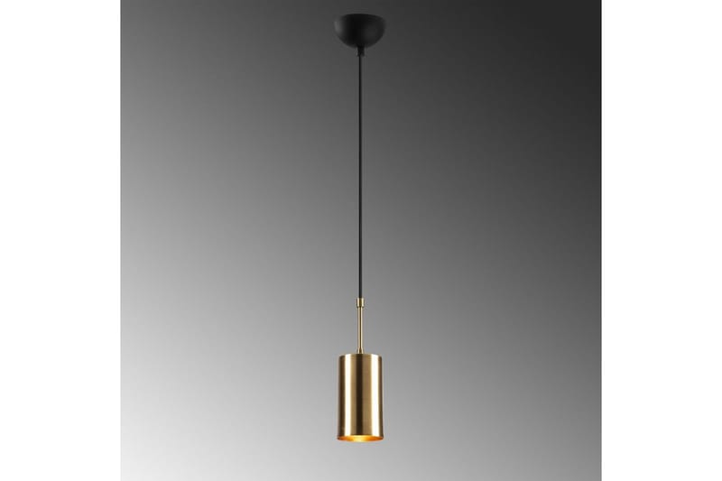 Taklampa Tyrel Rany / Svart Enkeluttag - Enkeluttag - Belysning & el - Inomhusbelysning & lampor - Taklampa & takbelysning - Pendellampor & hänglampor