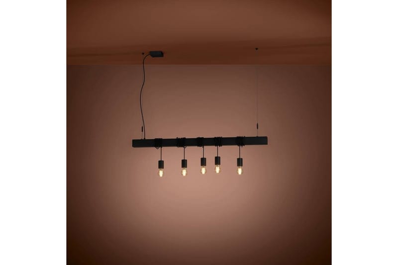 Takpendel Eglo Townshend-B Svart 5 Lampor - 5 Lampor - Belysning & el - Inomhusbelysning & lampor - Taklampa & takbelysning - Pendellampor & hänglampor