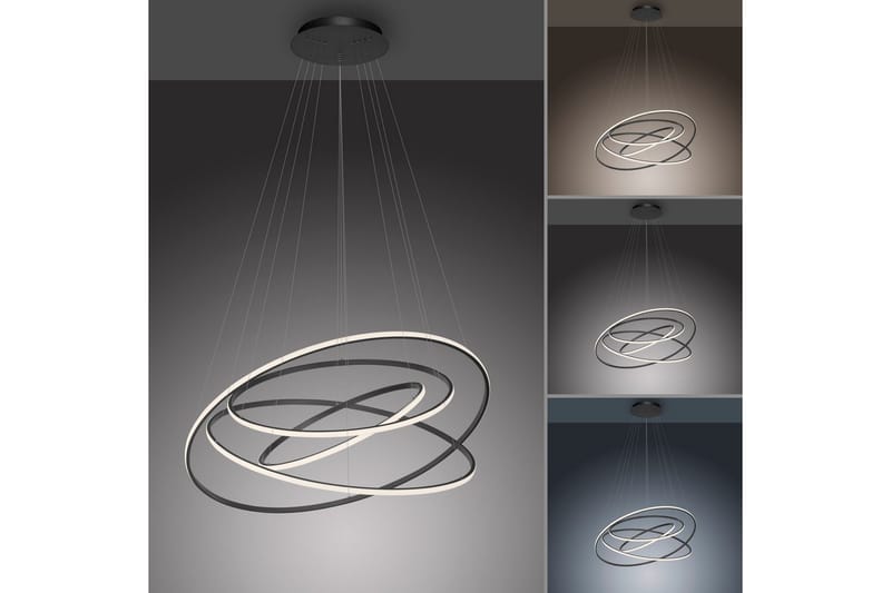 Tessara Paul Neuhaus Taklampa - Anthracite Grey - Belysning & el - Inomhusbelysning & lampor - Taklampa & takbelysning - Pendellampor & hänglampor