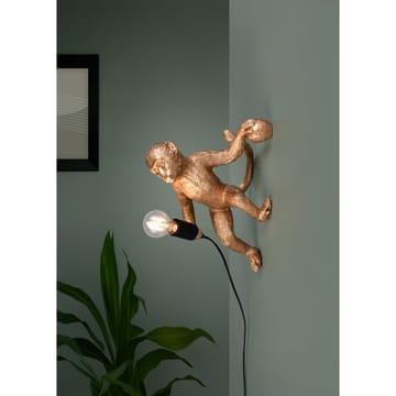 Vägglampa TRIO Louy - Guld - Belysning & el - Inomhusbelysning & lampor - Vägglampa
