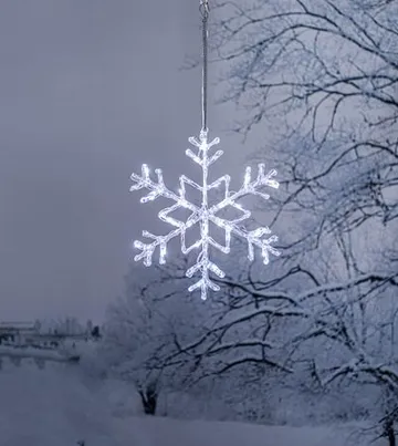 Antarctica LED-Snöflinga Jul Utomhus 40 cm 24 Ljus - Vit - Belysning & el - Julbelysning - Julbelysning utomhus