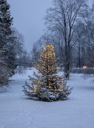 LED-julgransslinga Dew Drop Micro 2 m 160 ljus Varmvit - Grön - Belysning & el - Julbelysning - Julgransbelysning