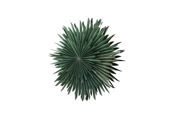 Sälen Adventsstjärna / Jullampa 60 cm - Grön - Belysning & el - Julbelysning - Julstjärnor & adventsstjärnor