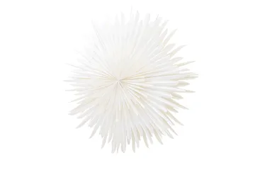 Sälen Adventsstjärna / Jullampa 100 cm - Vit - Belysning & el - Julbelysning - Julstjärnor & adventsstjärnor