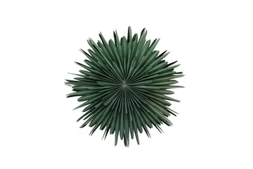 Sälen Adventsstjärna / Jullampa 60 cm - Grön - Belysning & el - Julbelysning - Julstjärnor & adventsstjärnor
