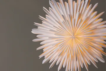 Sälen Adventsstjärna / Jullampa 60 cm - Vit - Belysning & el - Julbelysning - Julstjärnor & adventsstjärnor