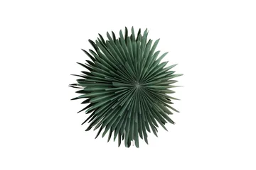 Sälen Adventsstjärna / Jullampa 60 cm - Grön - Belysning & el - Julbelysning - Julstjärnor & adventsstjärnor