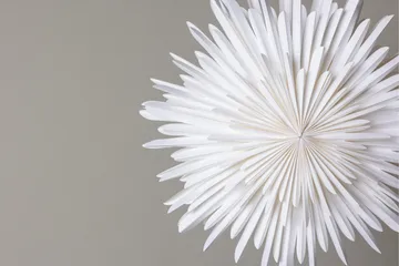 Sälen Adventsstjärna / Jullampa 60 cm - Vit - Belysning & el - Julbelysning - Julstjärnor & adventsstjärnor