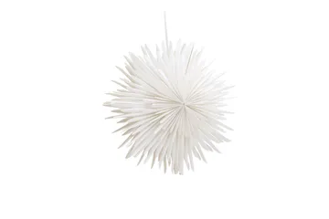 Sälen Adventsstjärna / Jullampa 35 cm - Vit - Belysning & el - Julbelysning - Julstjärnor & adventsstjärnor