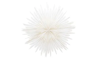 Sälen Adventsstjärna / Jullampa 100 cm - Vit - Belysning & el - Julbelysning - Julstjärnor & adventsstjärnor