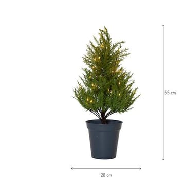 Thuja Dekorationsträd 55 cm - grön - Belysning & el - Julbelysning - Jullampor