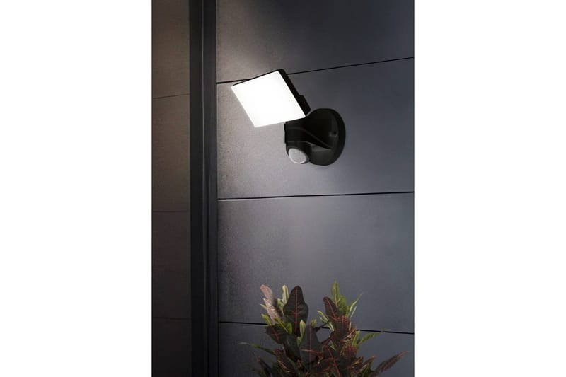 Väggstrålkastare Utebelysning Eglo Pagino med Sensor - Svart - Belysning & el - Ljuskällor & glödlampor - LED-belysning - LED-spotlight
