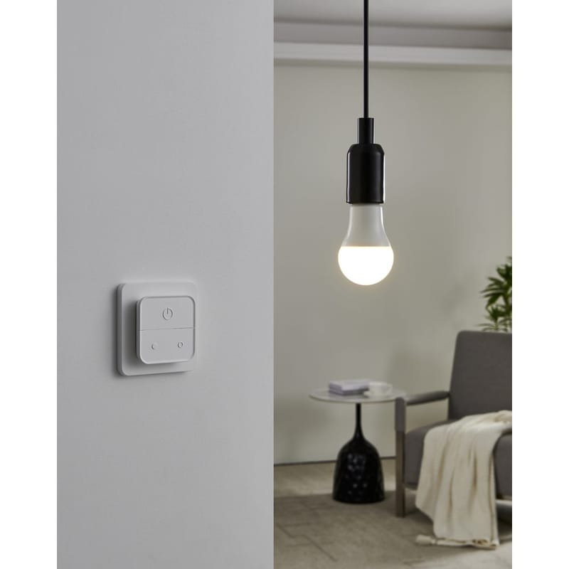 Ljuskälla 2xLM-ZIG-RGB/CCT E27 A60 9W Brytare - 6 cm - Belysning & el - Ljuskällor & glödlampor - LED-belysning