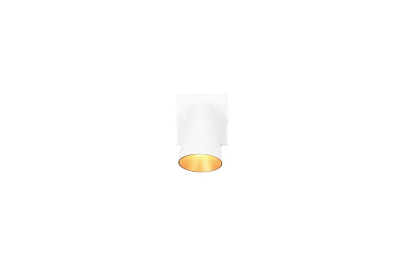 Spot TRIO Sharp 1-del, Mattvit/guld - 1-del, Mattvit/guld - Belysning & el - Ljuskällor & glödlampor - Spotlight & downlight