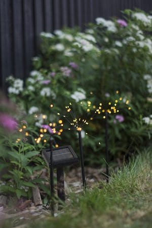Firework Solar Solcellsdekoration 100 cm - svart - Belysning & el - Utomhusbelysning - Solcellslampa & solcellsbelysning
