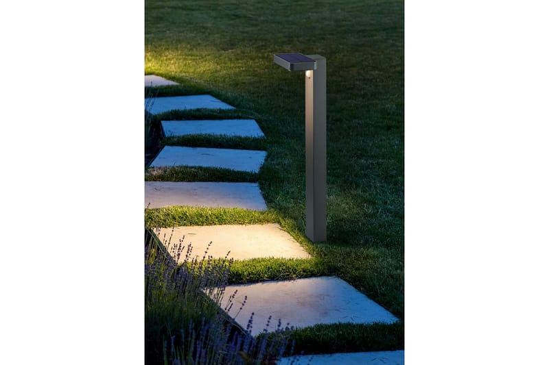 Pollare Esquel - Antracit - Belysning & el - Utomhusbelysning