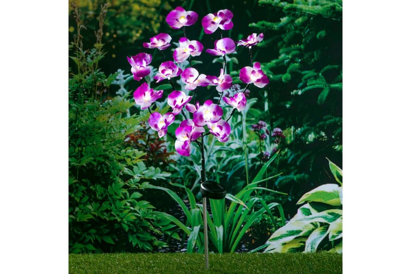 HI Soldriven LED-trädgårdslampa orkidé 75 cm - Lila - Solcellslampa & solcellsbelysning - Utomhusbelysning