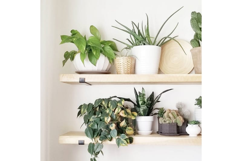 Wayte Vägghylla 60 cm - Svart/Ek - Förvaring - Hylla - Vägghylla