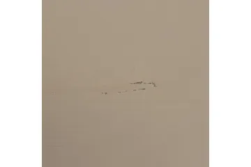 Garderob Dagligen 110x100 cm, Dubbeldörrar - 110x100 cm, Dubbeldörrar - Förvaring - Klädförvaring - Garderob & garderobssystem - Klädskåp & fristående garderob