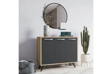 Desgrar Förvaringsskåp 100x82 cm - Brun - Förvaring - Skåp - Förvaringsskåp