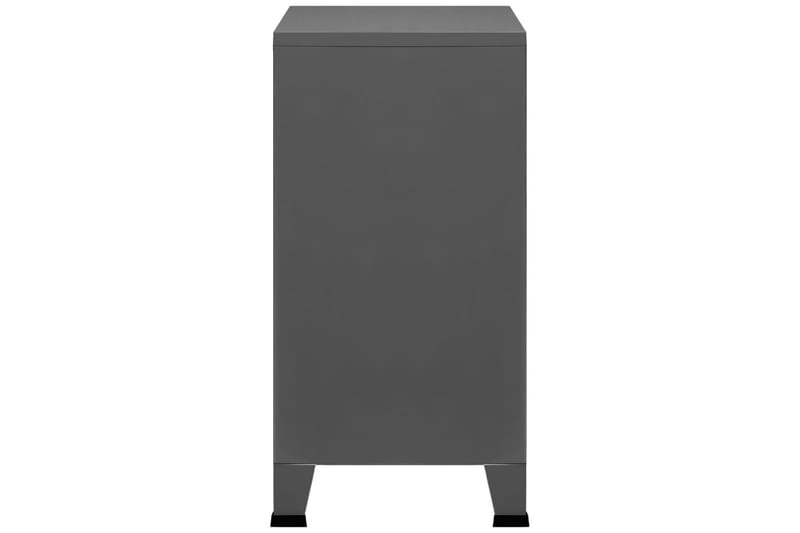Dokumentskåp industriell antracit 75x40x80 cm stål - Grå - Förvaring - Skåp - Förvaringsskåp