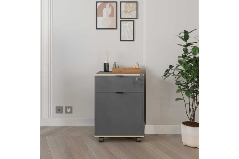 Flerfunktionsskåp Noriorsteadra Antracit / Ek - Gråfärgat trä/Antracit - Förvaring - Förvaringsmöbler - Byrå - Hurtsar