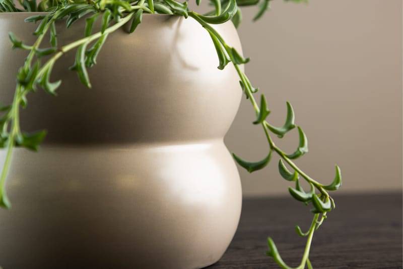 Dapne Kruka - Beige - Inredning - Kruka & ytterkruka