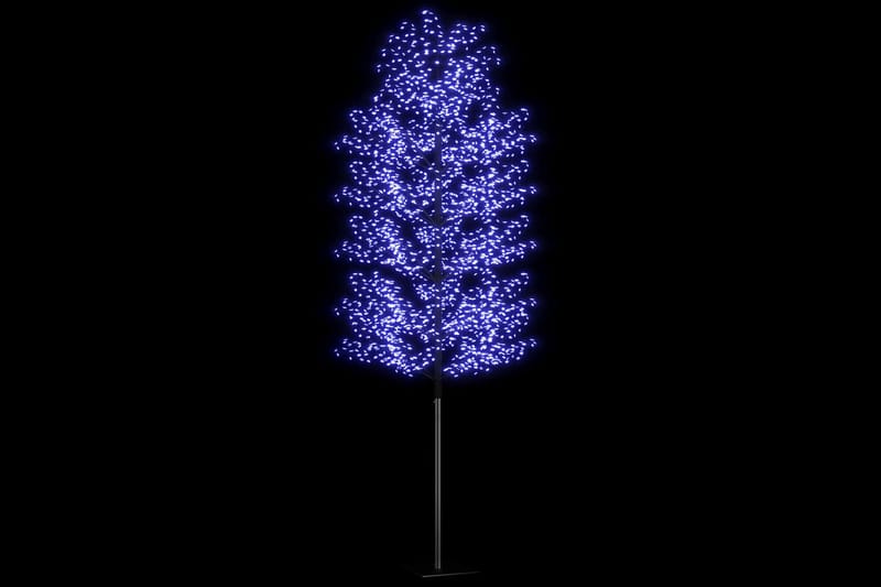 Plastgran 2000 LED körsbärsblommor blåvitt ljus 500 cm - Svart - Inredning - Julpynt & helgdekoration - Julpynt & juldekoration - Plastgran