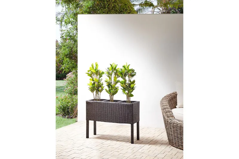 Inomhuskruka Caragana Brun - Brun - Inredning - Kruka & ytterkruka