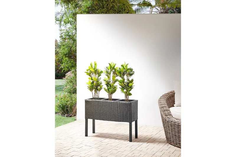 Inomhuskruka Caragana Svart - Svart - Inredning - Kruka & ytterkruka