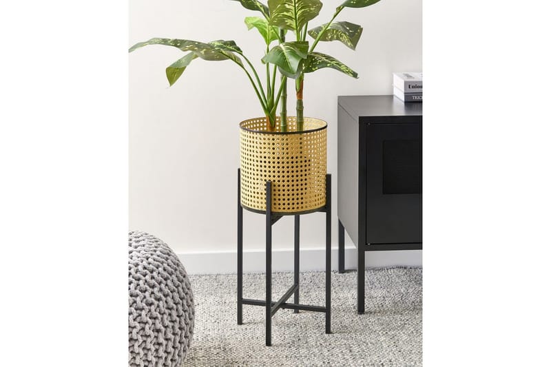 Inomhuskruka Fallopia - Inredning - Kruka & ytterkruka