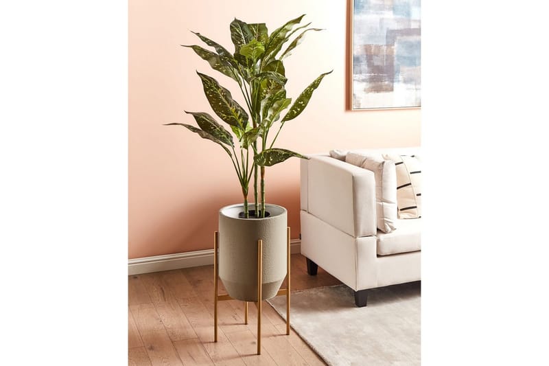 Inomhuskruka Hybridum - Inredning - Kruka & ytterkruka