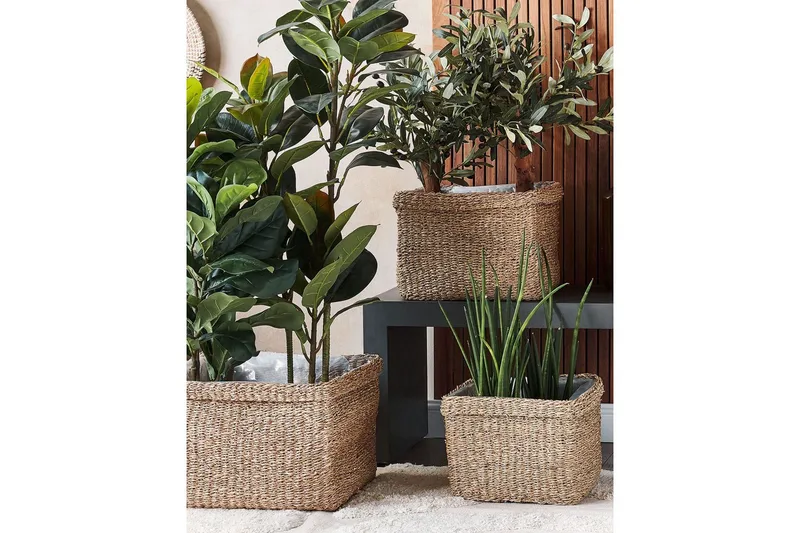 Inomhuskruka Rivuline set om 3 - Inredning - Kruka & ytterkruka