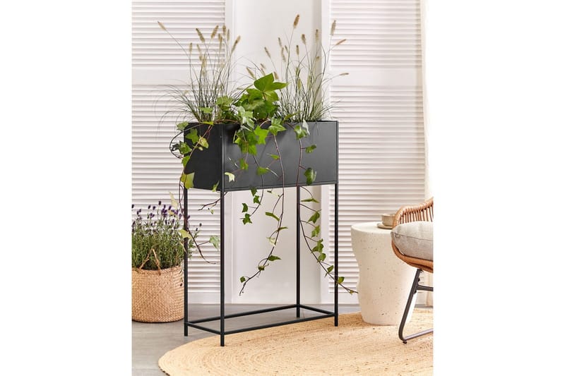 Inomhuskruka Tapien Svart - Svart - Inredning - Kruka & ytterkruka