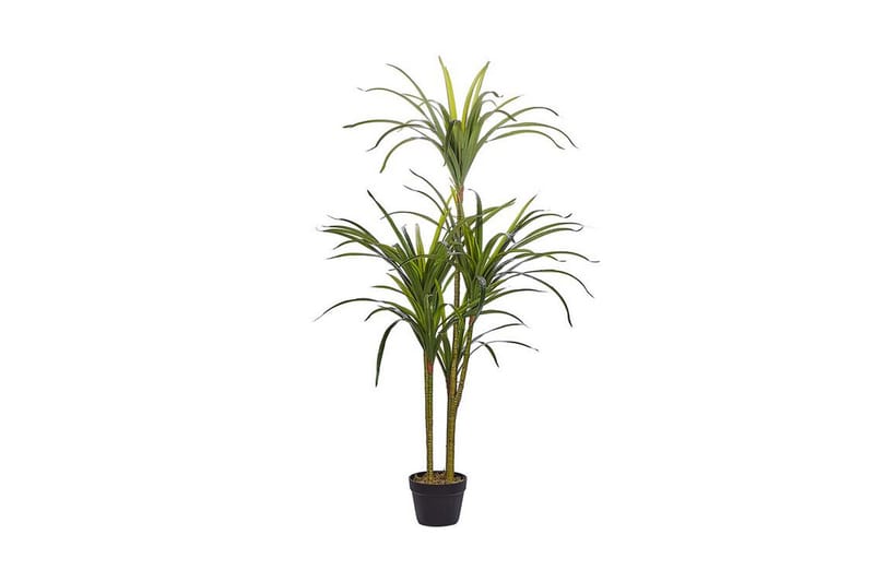 Berden Konstgjord Krukväxt 147 cm Dracaena anita - Grön - Balkongblommor - Konstgjorda växter & plastväxter