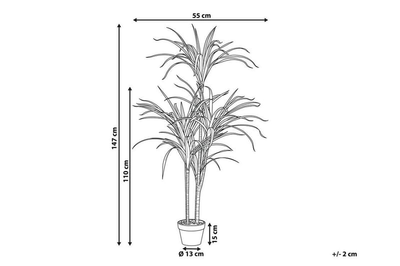 Berden Konstgjord Krukväxt 147 cm Dracaena anita - Grön - Balkongblommor - Konstgjorda växter & plastväxter