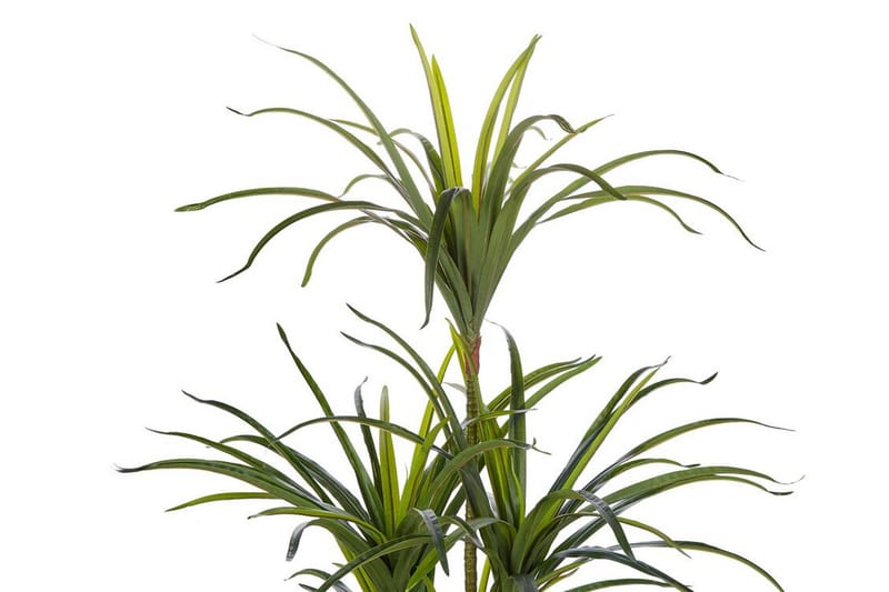 Berden Konstgjord Krukväxt 147 cm Dracaena anita - Grön - Inredning - Konstgjorda växter & plastväxter