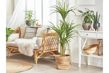 Berden Konstgjord Krukväxt 147 cm Dracaena anita - Grön - Inredning - Konstgjorda växter & plastväxter