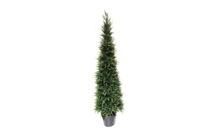 Cypress Konstgjord växt 150cm - Balkongblommor - Konstgjorda växter & plastväxter