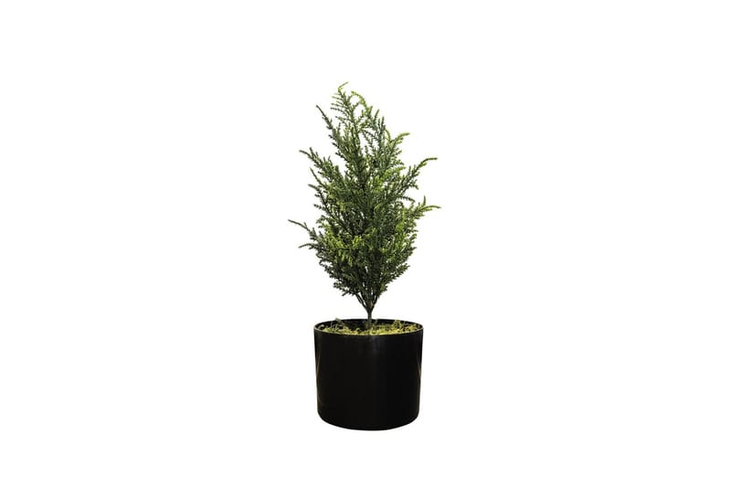 Cypress Konstgjord växt 42cm - Inredning - Konstgjorda växter & plastväxter