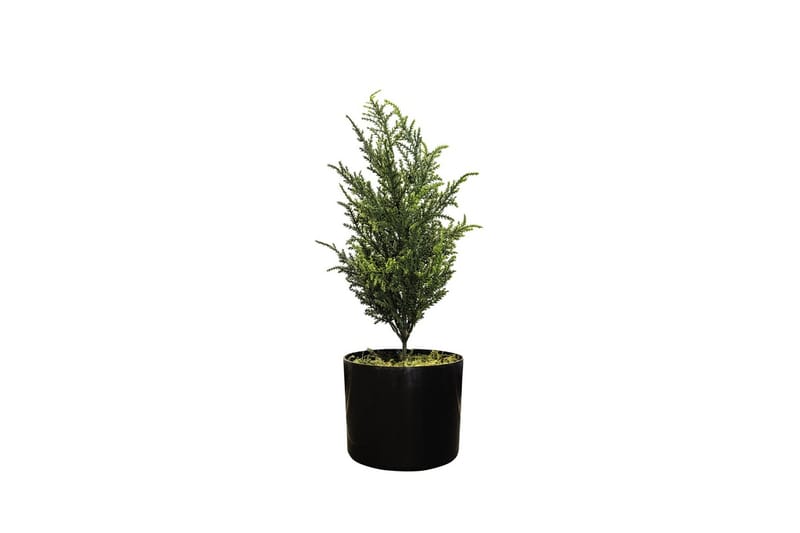 Cypress Konstgjord växt 42cm - Balkongblommor - Konstgjorda växter & plastväxter