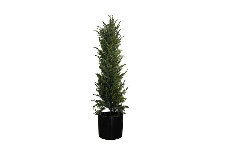 Cypress Konstgjord växt 80cm - Balkongblommor - Konstgjorda växter & plastväxter