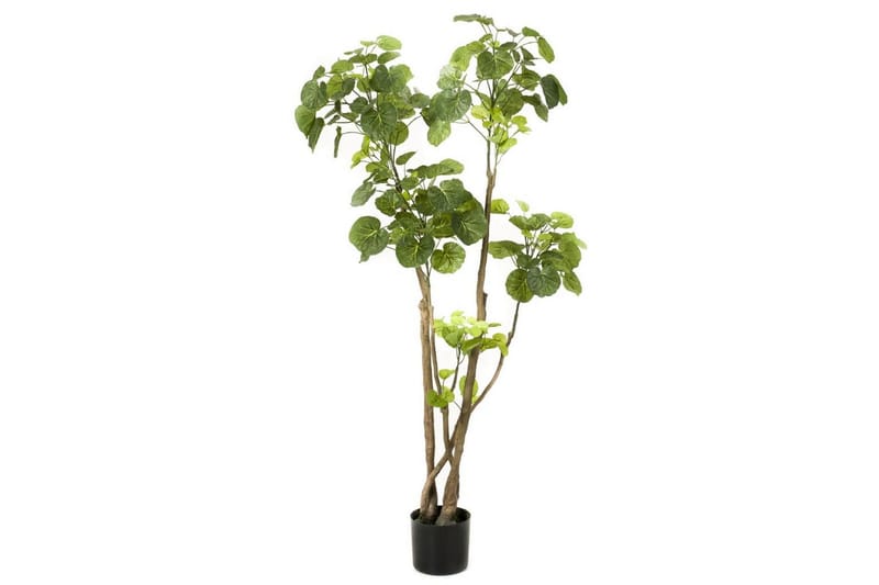 Emerald Konstgjord växt Polyscias träd 135 cm 420292 - Balkongblommor - Konstgjorda växter & plastväxter