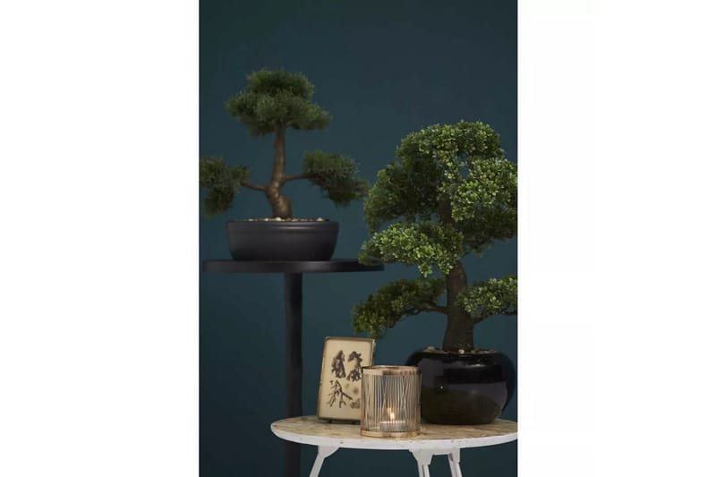 Emerald Konstväxt bonsaiträd fikus mini grön 47 cm 420006 - Balkongblommor - Konstgjorda växter & plastväxter