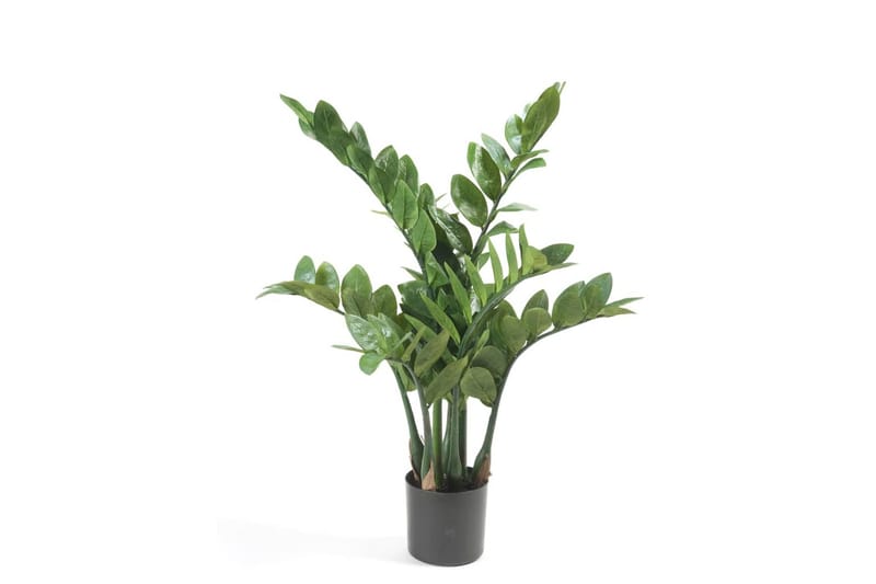 Emerald Konstväxt garderobsblomma 70 cm - Balkongblommor - Konstgjorda växter & plastväxter