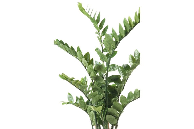 Emerald Konstväxt garderobsblomma grön 110 cm 11.662C - Balkongblommor - Konstgjorda växter & plastväxter