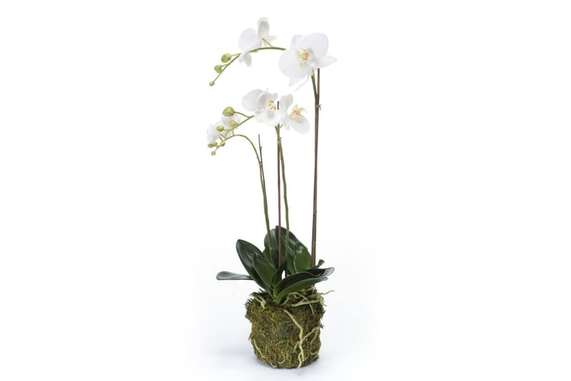 Emerald Konstväxt orkidé 70 cm vit - Balkongblommor - Konstgjorda växter & plastväxter